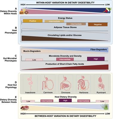 Decoupled Nutrient Status: a framework to disentangle host from microbial responses to diets that vary in digestibility